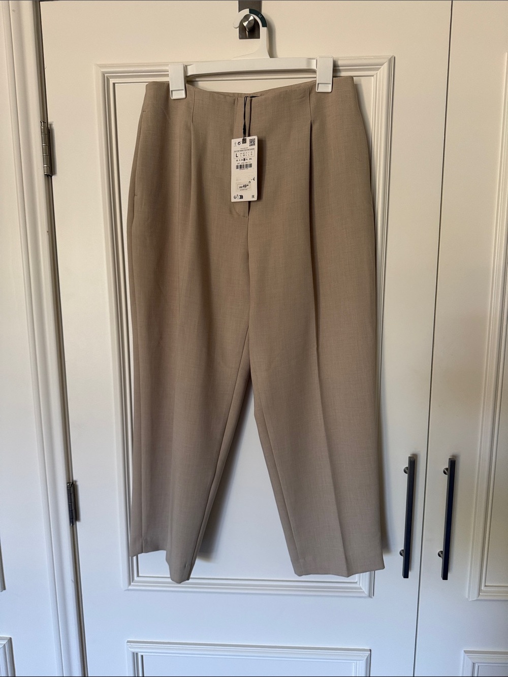 Zara Loose Fit Pleated Pants in Light Beige Sz L